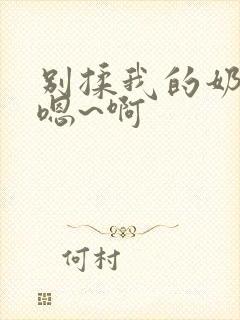 别揉我的奶头 嗯~啊封面