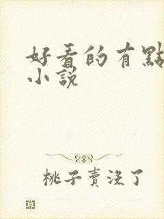 好看的有点h的小说封面