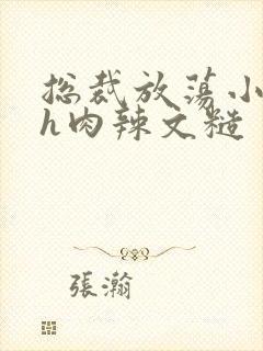 总裁放荡小淫妇h肉辣文糙