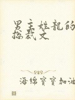 男主姓龙的帝国总裁文