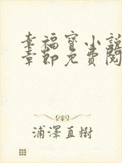 幸福宝小说最新章节免费阅读封面