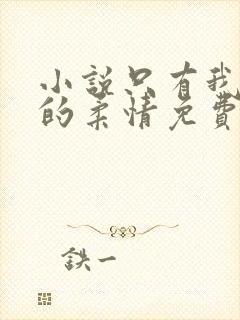 小说只有我懂他的柔情免费阅读封面