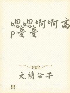嗯嗯啊啊高hnp爱爱