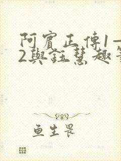 阿宾正传1—72与钰慧趣笔阁txt