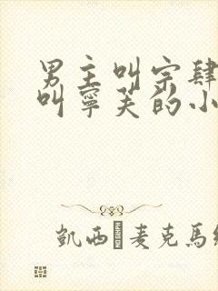 男主叫宗肆女主叫宁芙的小说