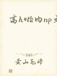高h啪肉np文封面