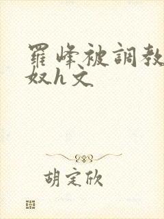 罗峰被调教成肉奴h文