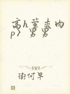 高h荤爽肉〈np〉男男