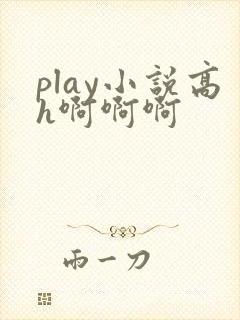 play小说高h啊啊啊