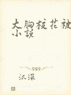 大胸校花被调教小说封面