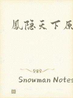 凤隐天下原著封面