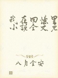 我在回忆里等你小说全文免费阅读封面