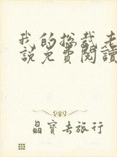 我的总裁老婆小说免费阅读