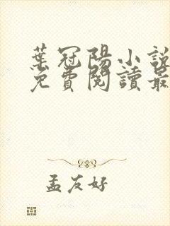 叶冠阳小说全文免费阅读最新章节