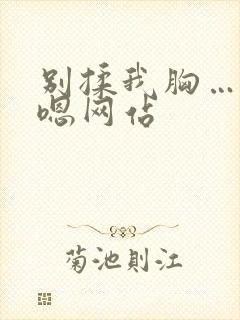 别揉我胸…啊…嗯网站