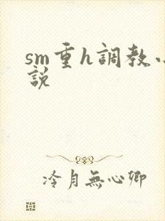 sm重h调教小说