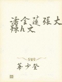 潘金莲张大户高辣h文封面