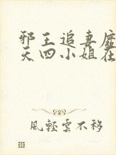 邪王追妻废材逆天四小姐在线阅读封面