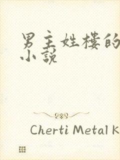 男主姓楼的总裁小说