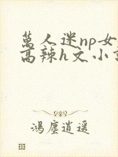 万人迷np女嬷高辣h文小说免费阅读