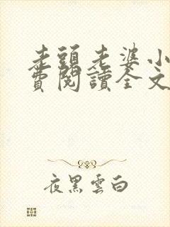 老头老婆小说免费阅读全文封面
