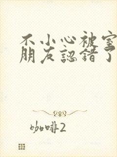 不小心被室友男朋友认错了宁笑阿温作者