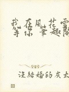 我在风花雪月里等你 笔趣阁