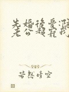 先婚后爱:隐婚老公超宠我