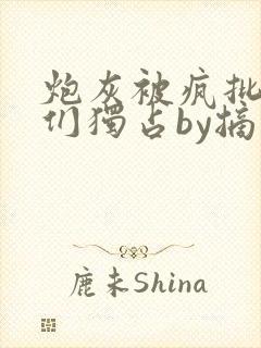 炮灰被疯批男主们独占by摘星小说免费阅读