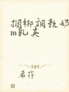 捆绑调教奶头sm乳夹