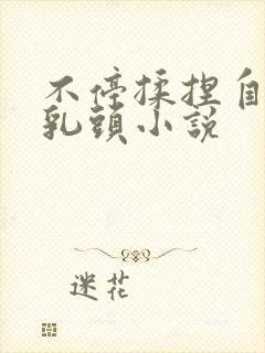 不停揉捏自己的乳头小说