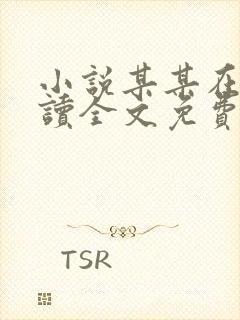 小说某某在线阅读全文免费