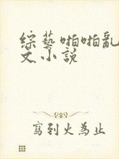 综艺啪啪乱淫h文小说