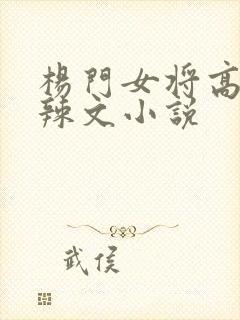 杨门女将高h文辣文小说