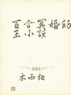 百合冥婚的双女主小说