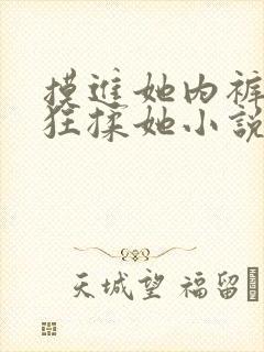 摸进她内裤里疯狂揉她小说视频