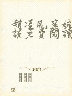 赵凌风宁婉婉小说免费阅读无弹窗封面