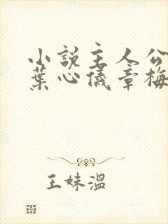 小说主人公陈浩叶心仪章梅封面