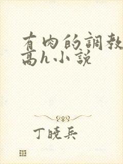 有肉的调教np高h小说