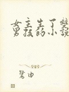 女主生了双胞胎男孩的小说