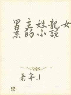 男主姓龙女主姓叶的小说封面