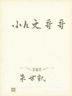 小h文哥哥