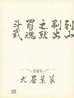 斗罗之刷到极品武魂就出山