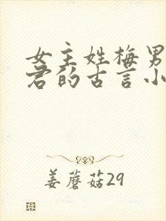 女主姓梅男主姓君的古言小说