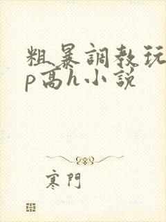 粗暴调教玩弄np高h小说