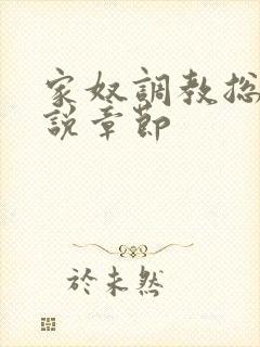 家奴调教总裁小说章节