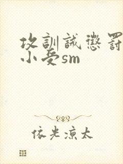 攻训诫惩罚调教小受sm