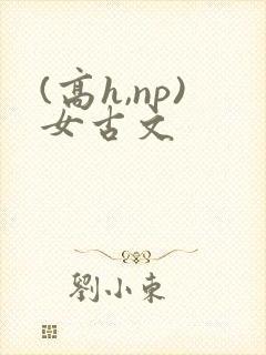 (高h,np)女古文
