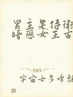 男主是侍卫从小暗恋女主古言