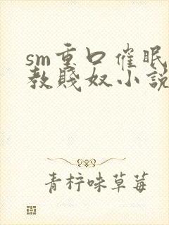 sm重口催眠调教贱奴小说封面